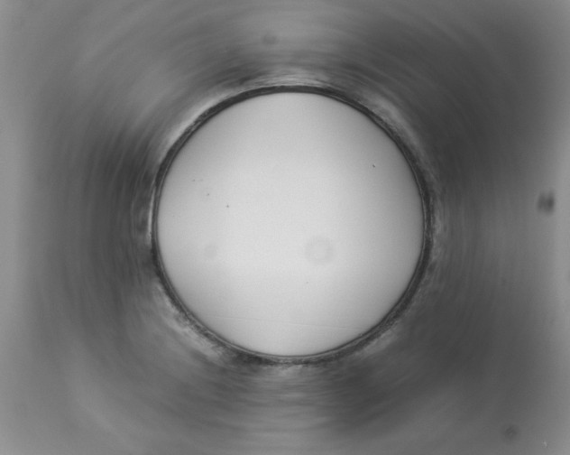 X0000112871228200909181816