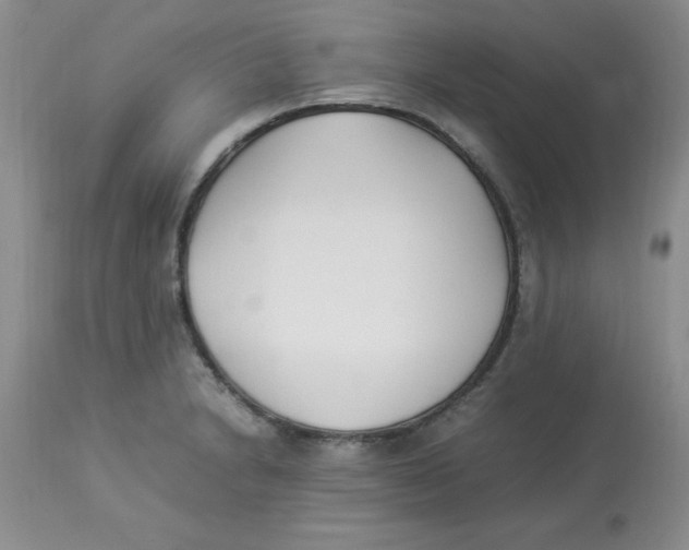 X0000112871230200909181817