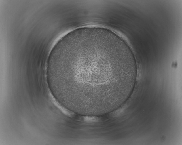 X0000112871231200909181817