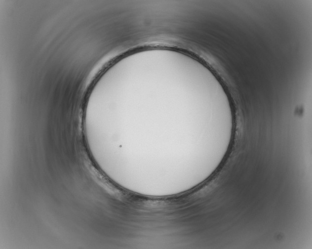 X0000112871232200909181817