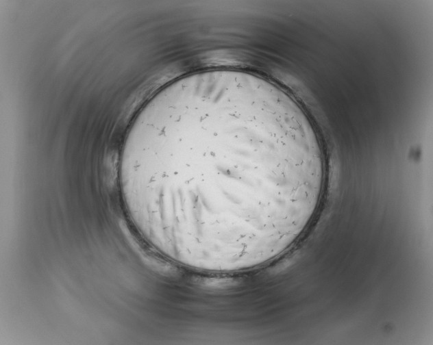 X0000112871233200909181817