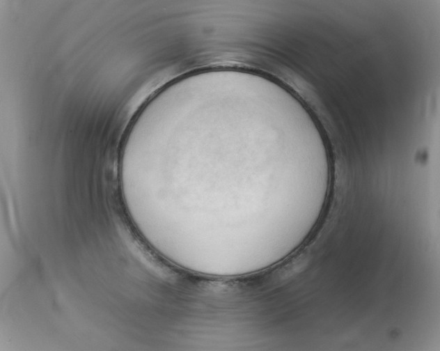 X0000112871234200909181817