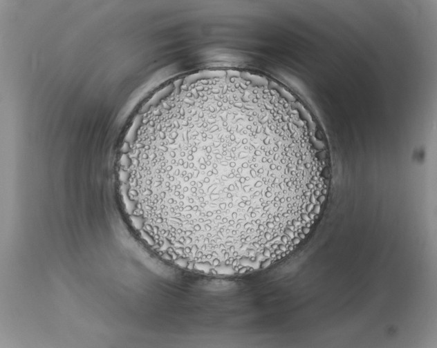 X0000112871235200909181817