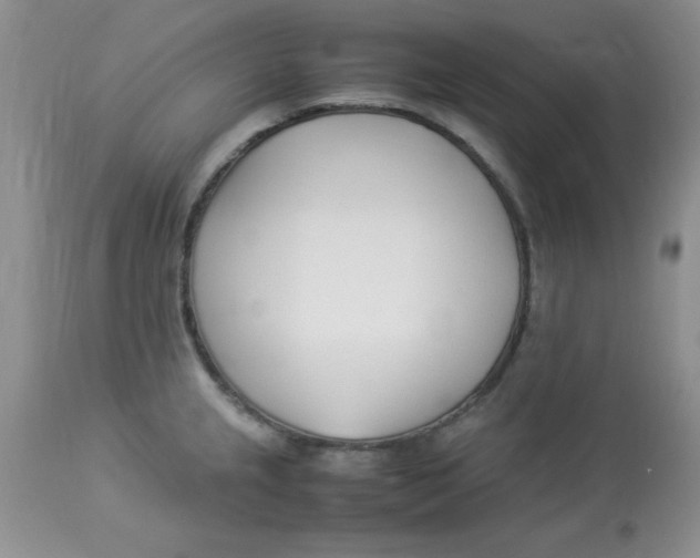 X0000112871237200909181817