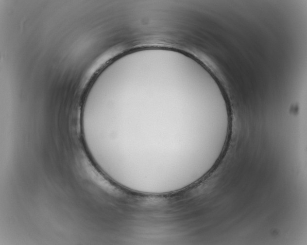 X0000112871238200909181817