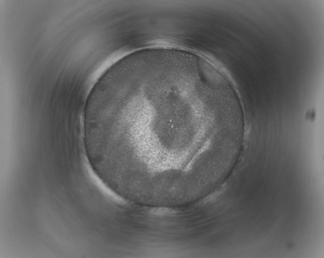 X0000112871239200909181817