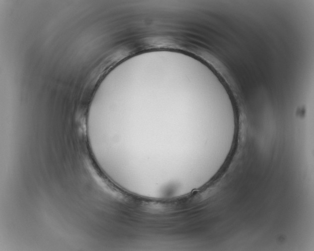 X0000112871241200909181817