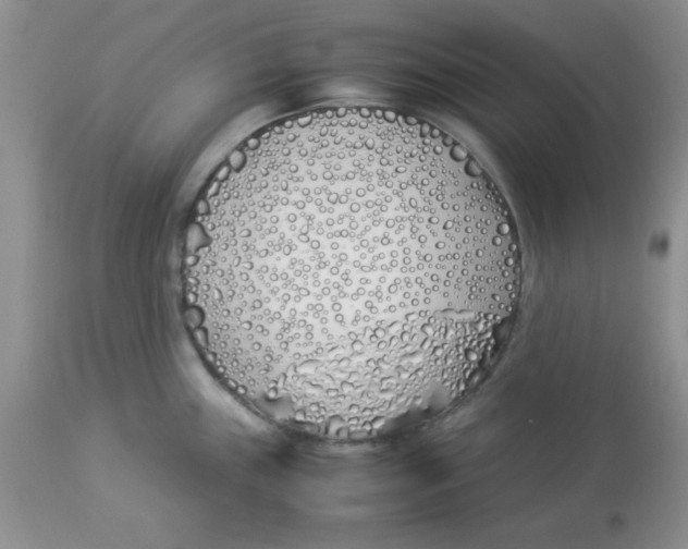 X0000112871243200909181817