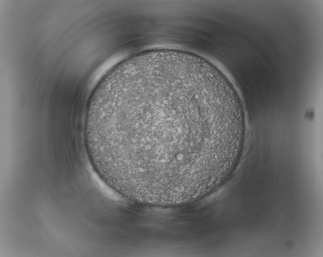 X0000112871245200909181817