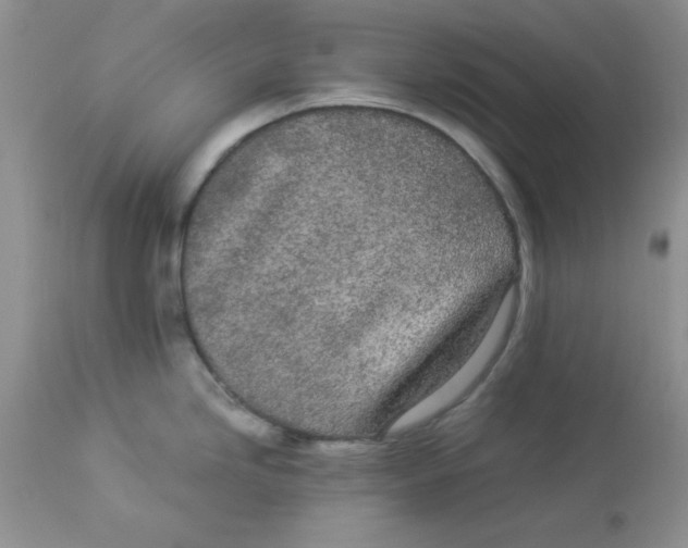 X0000112871246200909181817