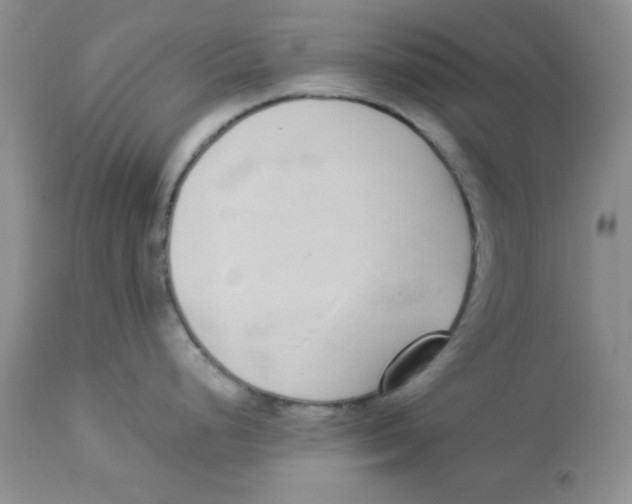 X0000112871248200909181817