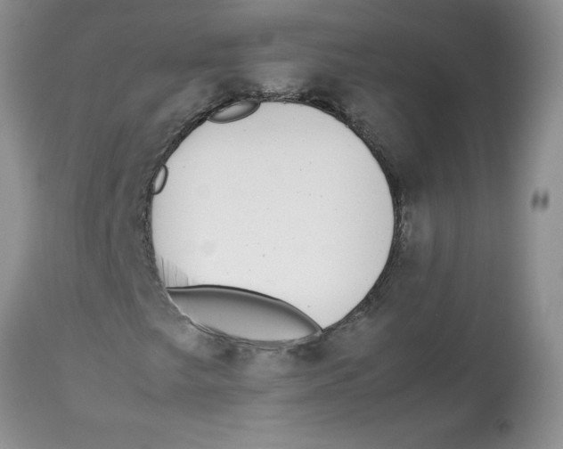 X0000112871249200909181816