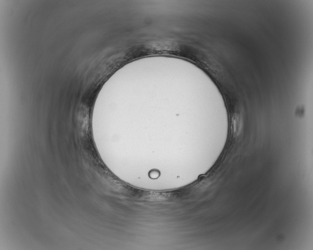 X0000112871251200909181816