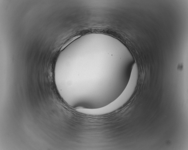 X0000112871252200909181816