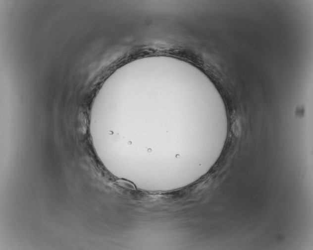 X0000112871253200909181816