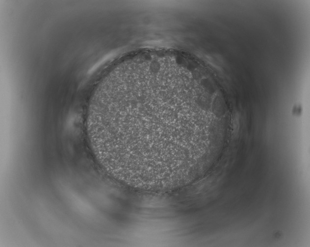 X0000112871254200909181816