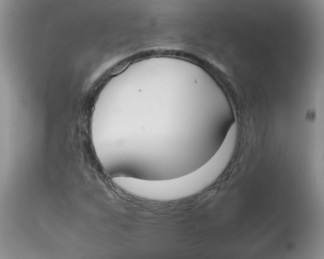 X0000112871255200909181816