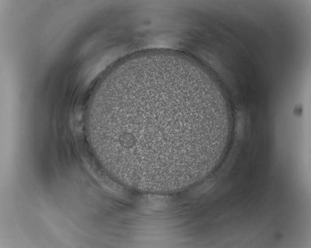 X0000112871258200909181816