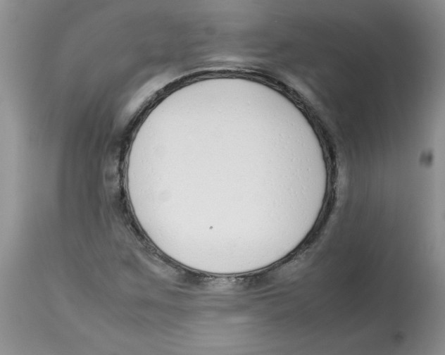 X0000112871259200909181816