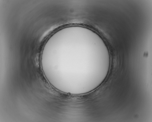 X0000112871262200909181816