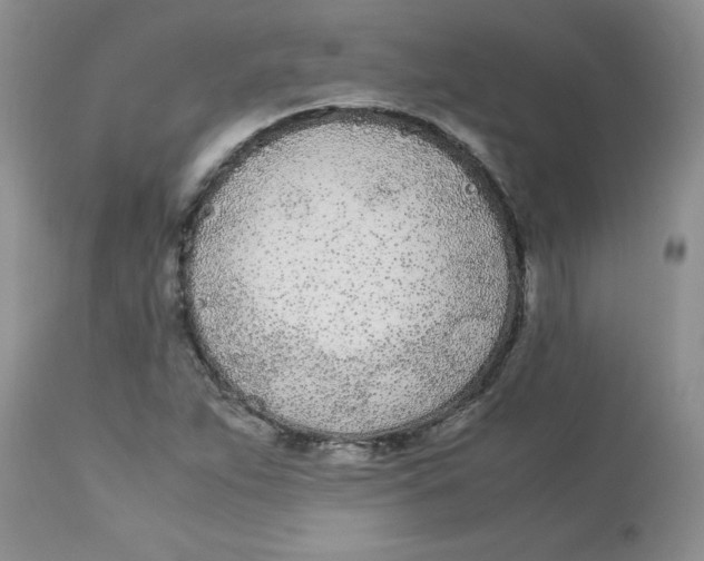 X0000112871263200909181816