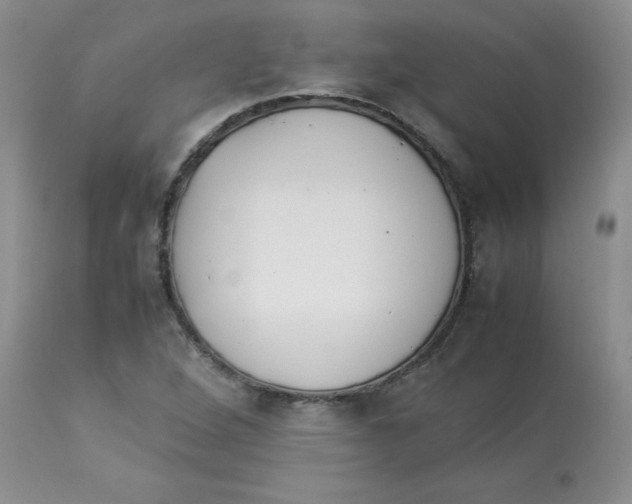 X0000112871264200909181816