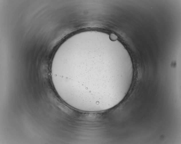 X0000112871266200909181816