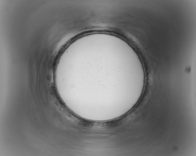 X0000112871267200909181816