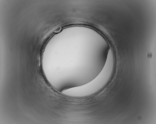 X0000112871269200909181816