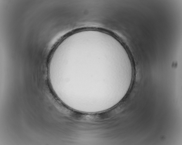 X0000112871271200909181816