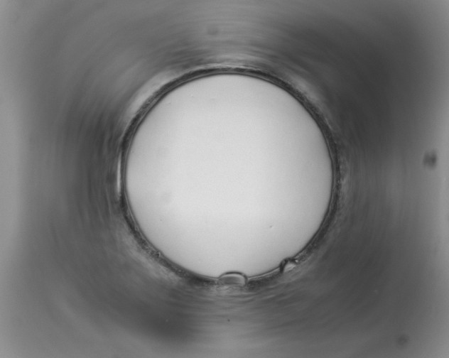 X0000112871275200909181816