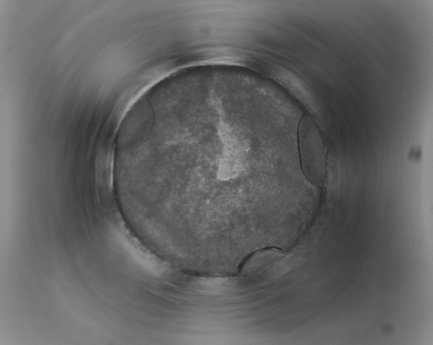 X0000112871276200909181816