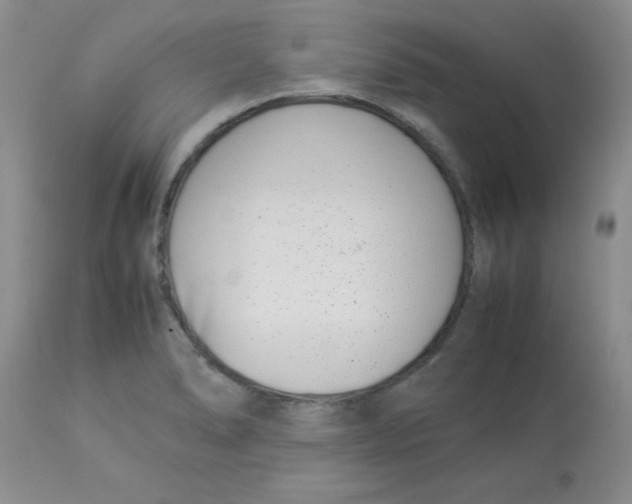 X0000112871278200909181816