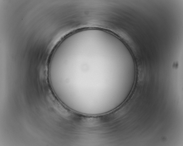 X0000112871280200909181816