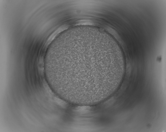 X0000112871282200909181816