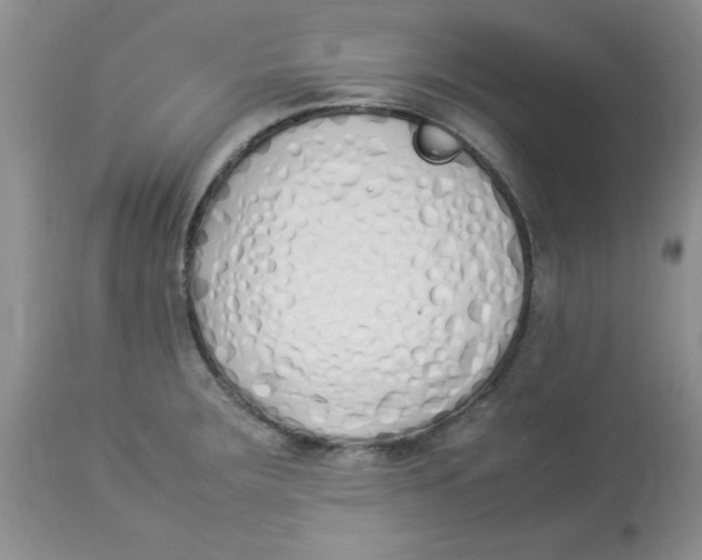 X0000112871283200909181816