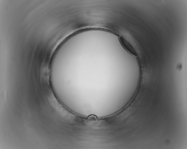 X0000112871284200909181816