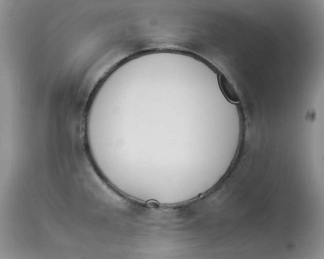 X0000112871285200909181816