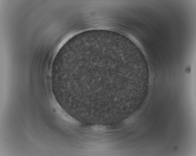 X0000112871291200909181816