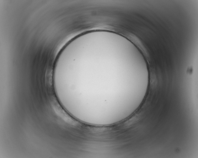 X0000112871292200909181816