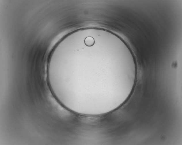 X0000112871294200909181815