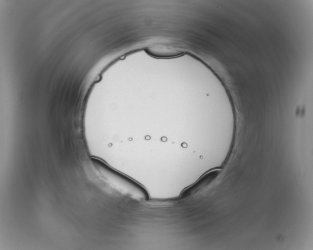 X0000112871296200909181815