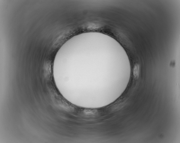 X0000112871299200909181815