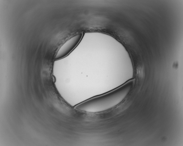 X0000112871300200909181815