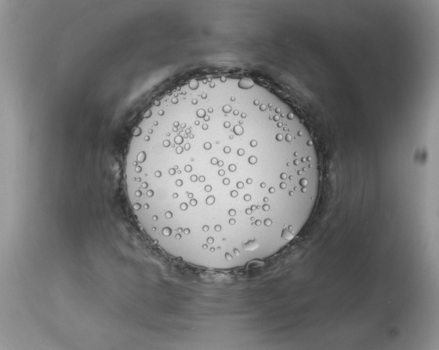 X0000112871302200909181815