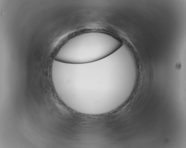 X0000112871304200909181815