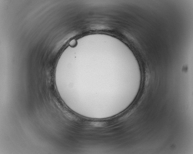 X0000112871305200909181815