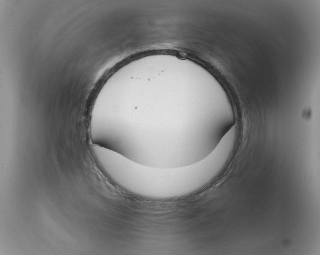 X0000112871308200909181815