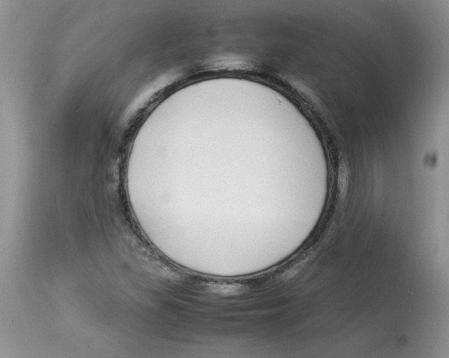 X0000112871309200909181815