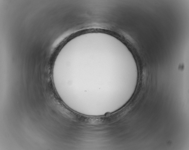 X0000112871310200909181815